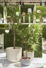 Carica l'immagine nel visualizzatore di Gallery, Cup