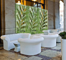 Carica l'immagine nel visualizzatore di Gallery, Kentia