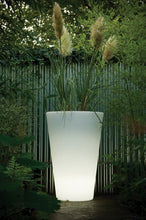 Load image into Gallery viewer, Liscio Siena with Light