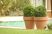 Carica l'immagine nel visualizzatore di Gallery, Bordato Liscio