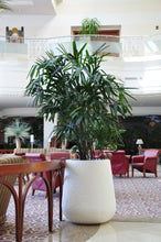 Load image into Gallery viewer, Memory Pot