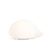 Carica l'immagine nel visualizzatore di Gallery, Bonnie Illuminato