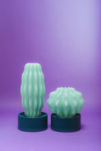 Load image into Gallery viewer, Cactus Large with Light