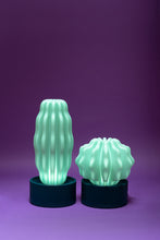 Load image into Gallery viewer, Cactus Large with Light