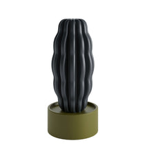 Carica l'immagine nel visualizzatore di Gallery, Cactus Long