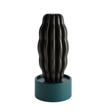 Carica l'immagine nel visualizzatore di Gallery, Cactus Long
