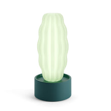 Carica l'immagine nel visualizzatore di Gallery, Cactus Long with Light