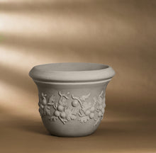 Carica l'immagine nel visualizzatore di Gallery, Uva Spina