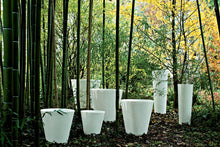 Carica l'immagine nel visualizzatore di Gallery, New Pot Family