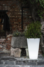 Load image into Gallery viewer, Liscio Siena with Light