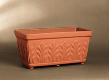 Carica l'immagine nel visualizzatore di Gallery, Cassetta Fogliata