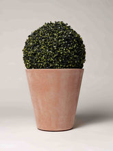 Carica l'immagine nel visualizzatore di Gallery, New Pot Family