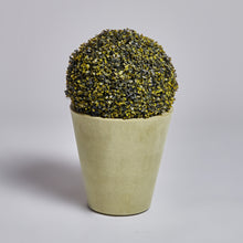 Carica l'immagine nel visualizzatore di Gallery, New Pot Family