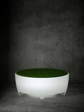 Load image into Gallery viewer, Oasis with Light