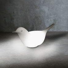 Carica l'immagine nel visualizzatore di Gallery, Paloma illuminato