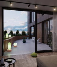 Load image into Gallery viewer, Cactus Large with Light