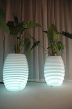 Carica l'immagine nel visualizzatore di Gallery, Top Pot Illuminato