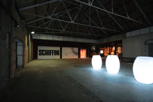 Carica l'immagine nel visualizzatore di Gallery, Top Pot Illuminato