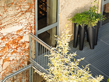 Carica l'immagine nel visualizzatore di Gallery, The Vases