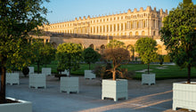 Carica l'immagine nel visualizzatore di Gallery, Versailles