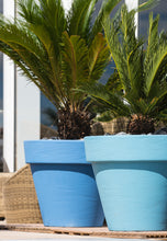 Carica l'immagine nel visualizzatore di Gallery, Bordato Liscio