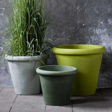 Carica l'immagine nel visualizzatore di Gallery, Camelia