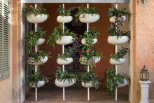 Carica l'immagine nel visualizzatore di Gallery, Greenpills