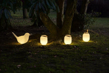 Load image into Gallery viewer, Pulcino with Light