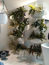 Carica l'immagine nel visualizzatore di Gallery, Greenpills