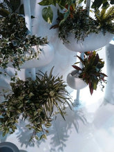 Carica l'immagine nel visualizzatore di Gallery, Greenpills