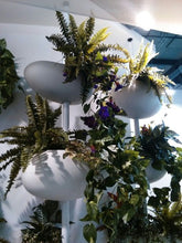 Carica l'immagine nel visualizzatore di Gallery, Greenpills