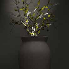 Carica l'immagine nel visualizzatore di Gallery, June
