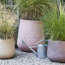 Load image into Gallery viewer, Memory Pot