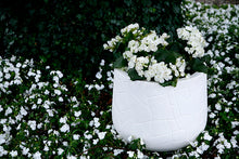 Load image into Gallery viewer, Memory Pot