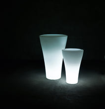 Carica l'immagine nel visualizzatore di Gallery, Ming Family