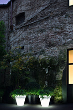 Carica l'immagine nel visualizzatore di Gallery, Vas-Three