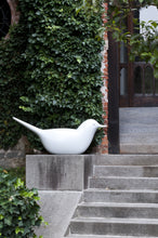 Load image into Gallery viewer, Paloma