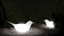 Carica l'immagine nel visualizzatore di Gallery, Paloma illuminato