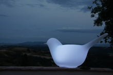 Carica l'immagine nel visualizzatore di Gallery, Paloma illuminato