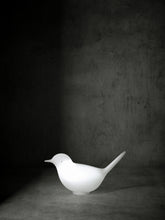 Load image into Gallery viewer, Pulcino with Light