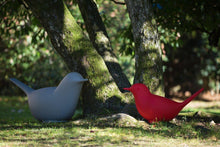 Load image into Gallery viewer, Paloma