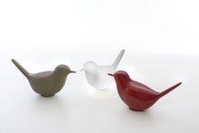 Load image into Gallery viewer, Pulcino with Light