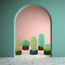 Load image into Gallery viewer, Cactus Long with Light
