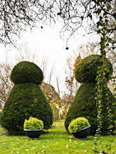 Carica l&#39;immagine nel visualizzatore di Gallery, Kew
